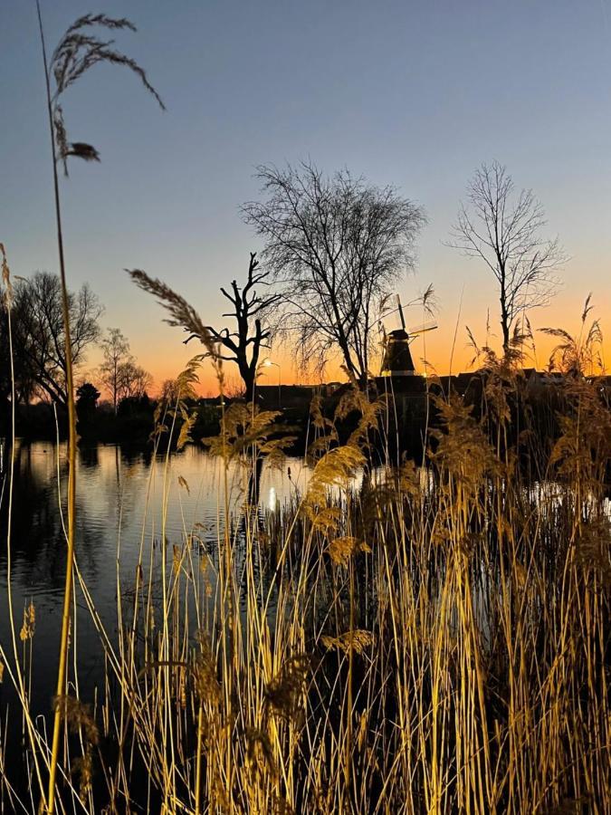 Recreatiepark De Markplas Opheusden المظهر الخارجي الصورة